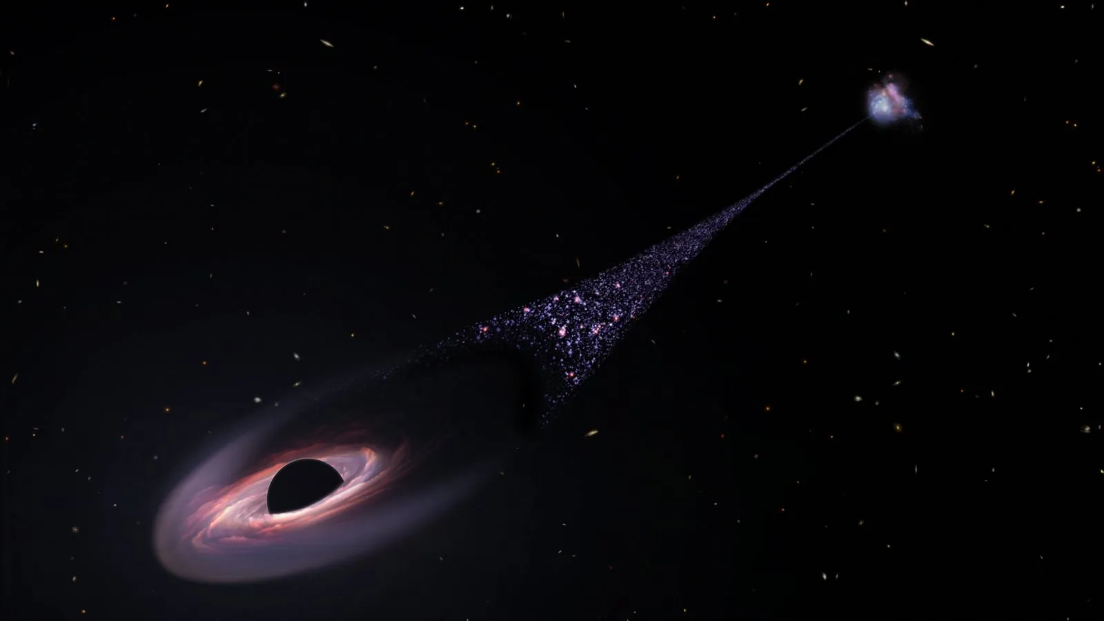Illustration of a black hole with a glowing pink disc of gas, speeding away from a distant galaxy and leaving a long, narrow trail of blue newborn stars behind it