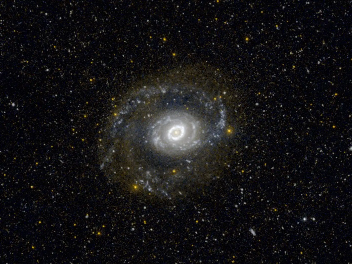The spiral galaxy Messier 94 in ultraviolet light: a bright white core inside a ring of blue young stars, on a black field dotted with yellow and white points