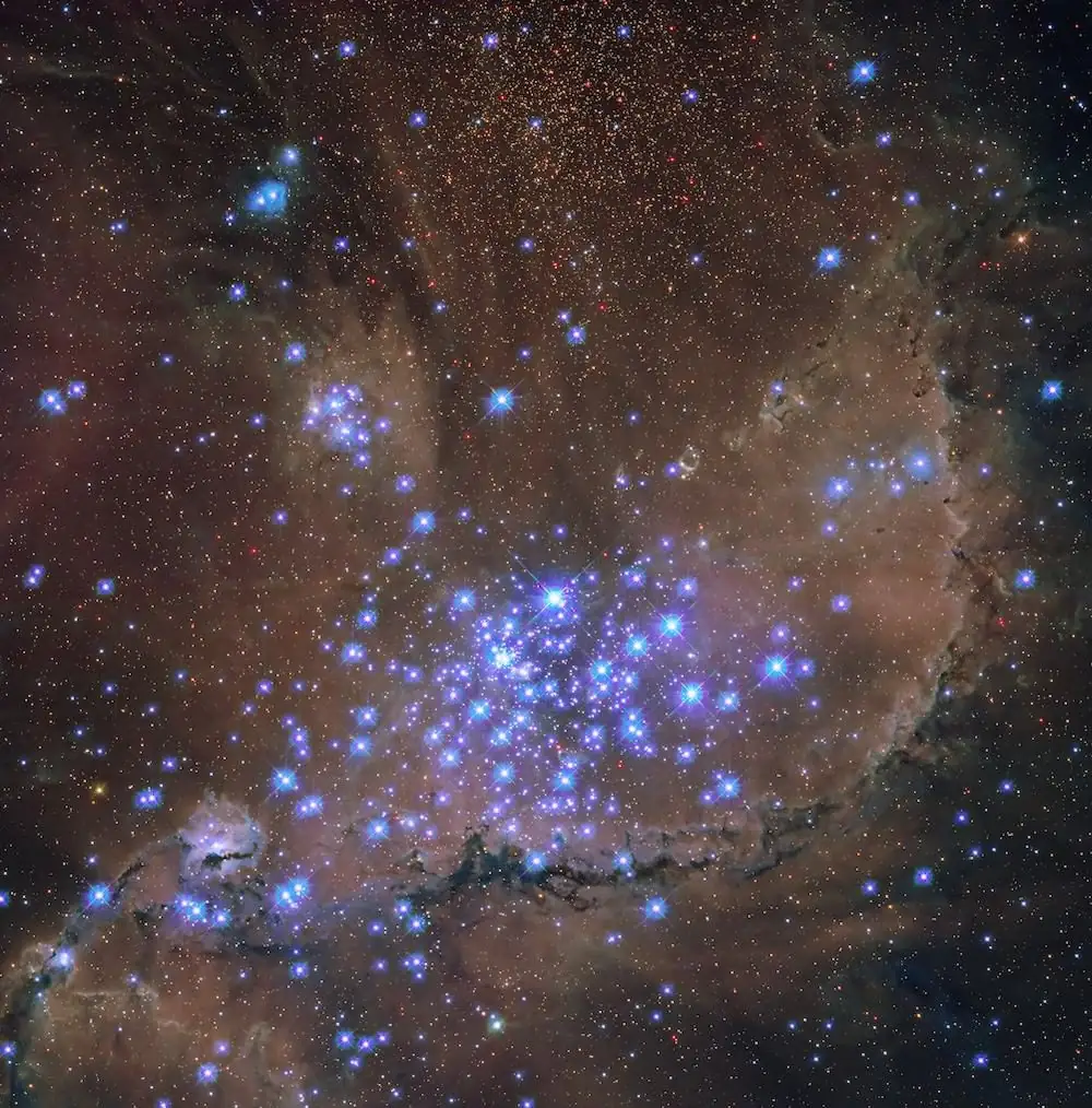 A star cluster packed with bright blue-white stars, surrounded by glowing orange and brown clouds of gas and dark dust lanes